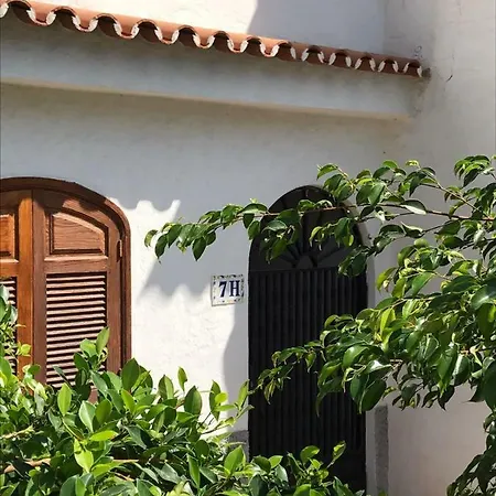 La Palmera1 Casa Al Primer Piso Con 2 - Two Bedroom House On The First Floor --- La Palmera 2 Casa En Planta Baja Con 1 Dormitorio, One Bedroom House On The Ground Floor * أَغايتي